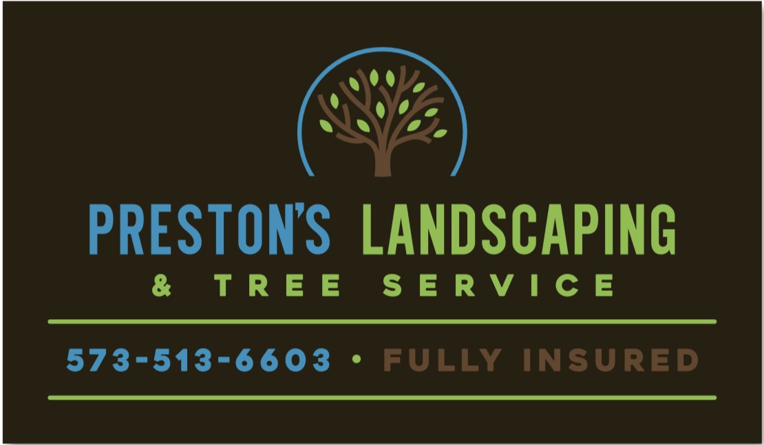 Professional tree removal and landscaping service in action